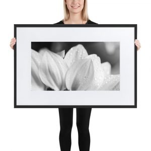 Matte Paper Framed Poster With Mat, flower series 26