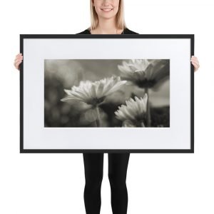 Matte Paper Framed Poster With Mat, flower series 30