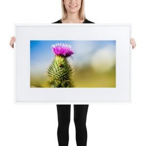 Matte Paper Framed Poster With Mat, flower series 12