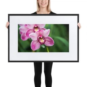 Matte Paper Framed Poster With Mat, Flowers series 31