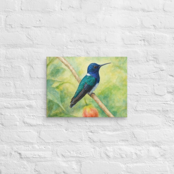 Canvas, watercolor hummenbirds 04