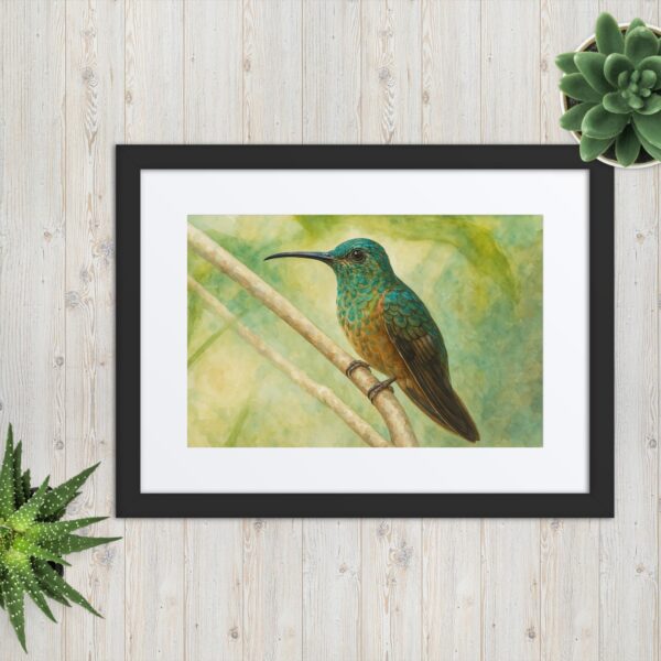Framed poster, Water color hummingbirds 01