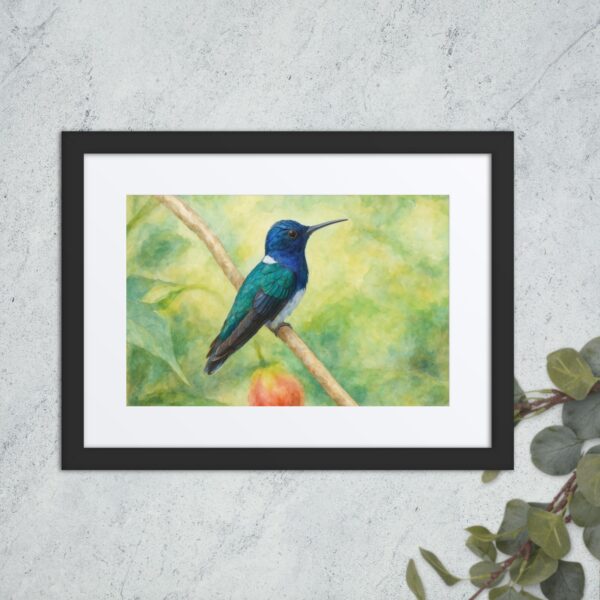 Framed poster, watercolor hummenbirds 04