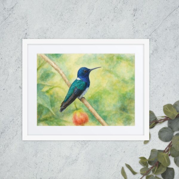Framed poster, watercolor hummenbirds 04 - Image 4